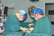 大年初一，器官移植带来新生——我院开展三台移植手术