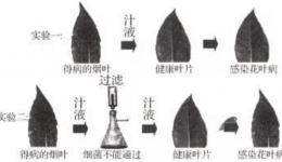 回顾世界“瘟疫史” 打赢今日“抗疫战”