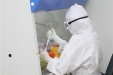 5天检测3.7万人！贵州在全国率先实现五类人员核酸检测全覆盖
