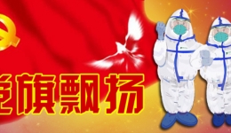 疫情就是命令 旗帜彰显担当