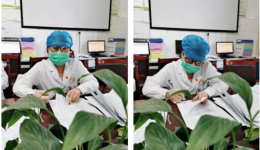 平凡中的优良品质——感染科朱霞医师