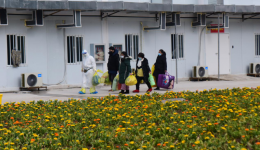 雷山医院一天出院患者20名  创单日出院人数新高