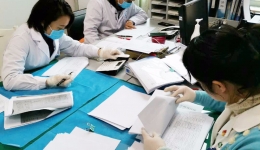 在战“疫”中绽放的白玉兰