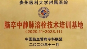 贵州唯一：437ccm必赢同时获得全国首批“脑卒中静脉溶栓技术培训基地”及“脑卒中动脉取栓技术培训基地”