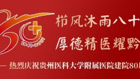 我院举办鄂黔神经外科论坛暨贵州省神经外科、神经介入联盟会议