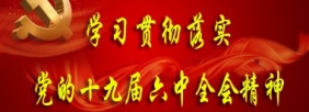 学习贯彻落实党的十九届六中全会精神