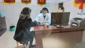品牌先锋进社区·健康义诊迎新年——贵州医科大学附属医院党建品牌先锋在行动
