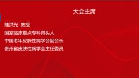 第六届皮肤科年会举办