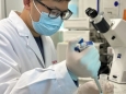 “皮肤怎样保护我们的DNA？”——贵医附院皮肤科团队26年圆梦解析黑素帽状结构形成机制