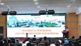 我院召开医疗质量与安全管理质控会议