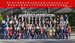 贵州省中医药学会综合医院中医药工作委员会成立大会暨全国名中医凌湘力学术思想及临床经验传承培训班