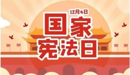 第十个国家宪法日来了，这些知识你需要知道！