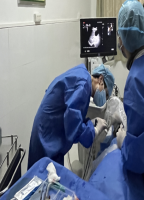 “微”癌引千“波”，想“消”可以“融”——贵医附院感染科为肝硬化患者成功实施超声引导下肝癌微波消融术