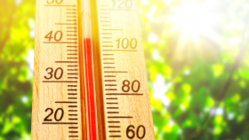 【冬病夏治专题】三伏贴的“黄金30天”:今年短伏如何科学贴敷?贵医附院中医科专家为你划重点