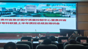 贵州省急诊质量控制中心上半年工作总结会召开
