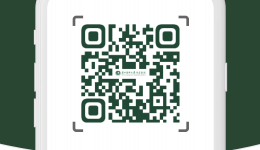 树立和践行正确政绩观意见建议征集