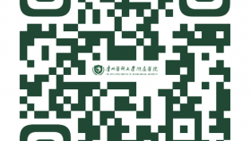 关于树立和践行正确政绩观学习教育意见建议征集