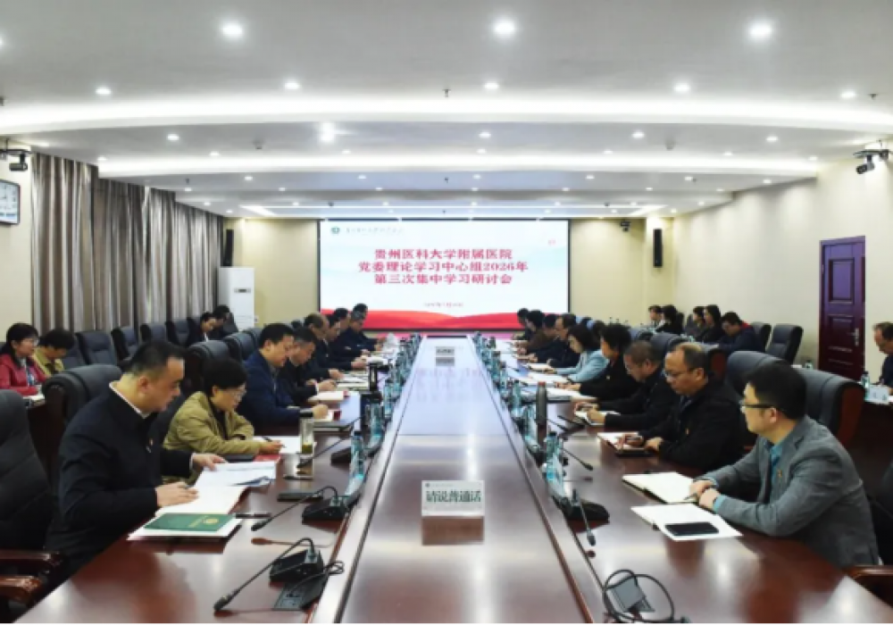深学细悟笃行正确政绩观 以实干担当建设人民满意的公立医院——我院举办2026年党委理论学习中心组第三次集中学习研讨会