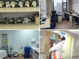 【效率医疗·文明行动】深耕5S精细管理 聚力效率医疗文明服务——神经外科抓实提质优服筑牢科室发展根基